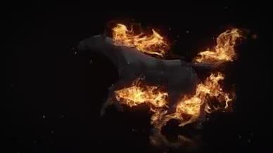火焰马特效logo背景视频的预览图